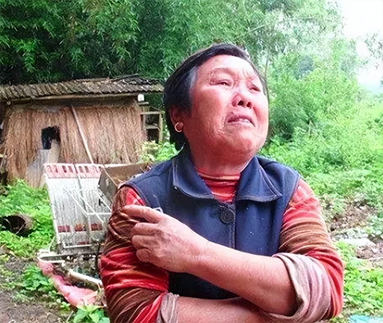 湖南树人刘忠文全部视频,树人刘忠文后续