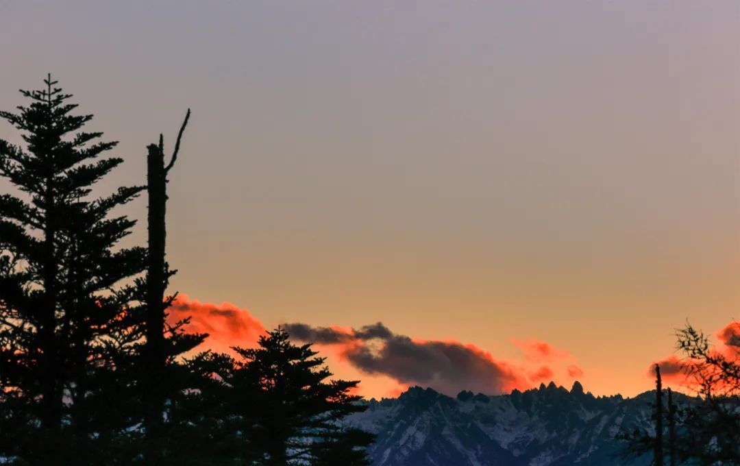 上有天堂下有西藏,上有天堂下有云南