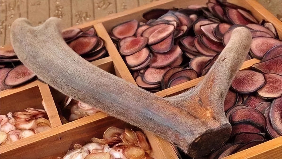 鹿角可血腥重生，却被西方偷师，鹿产品甚至被反向输出到了国内？