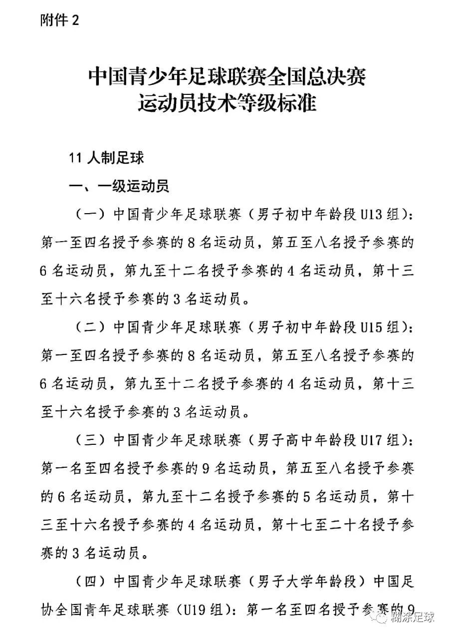 全国青少年足球联赛全国总决赛,中国青少年足球等级考试