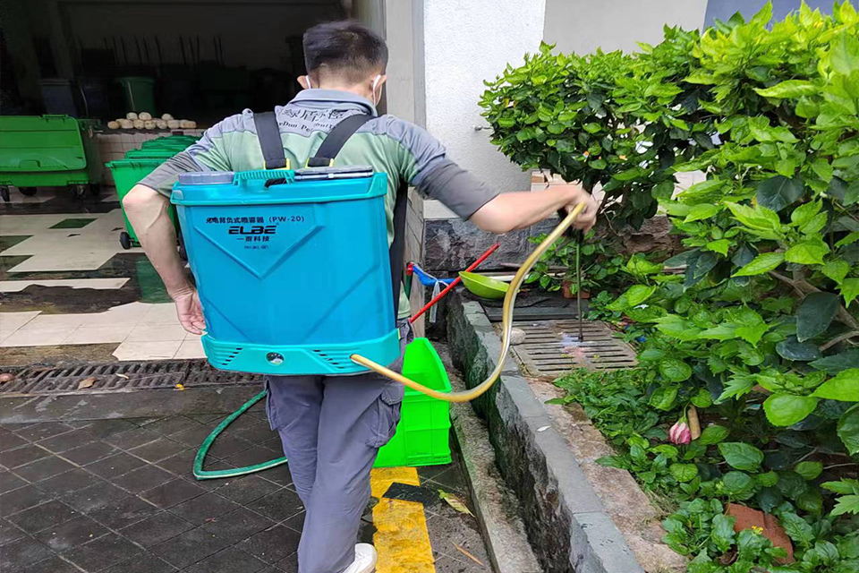 武汉消杀白蚁公司,湖北楚盾虫控白蚁防治