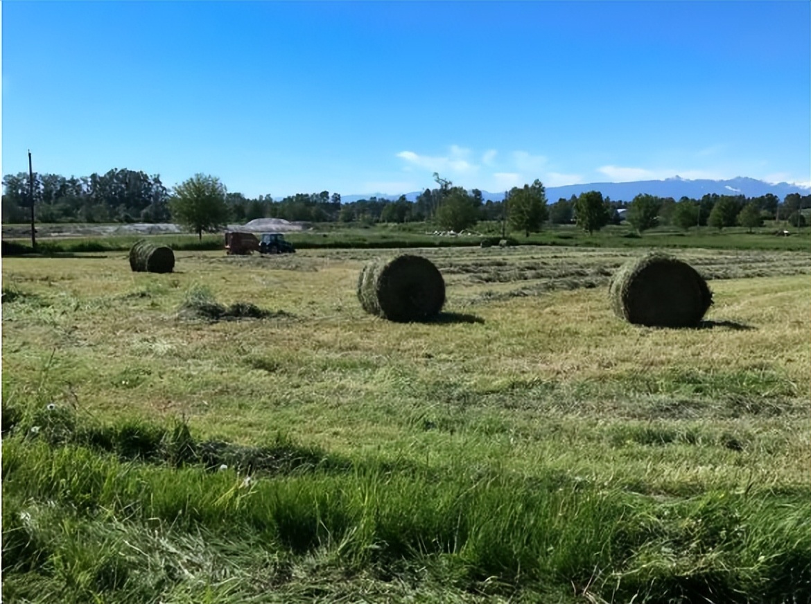 中国美女农场,中国女农场主