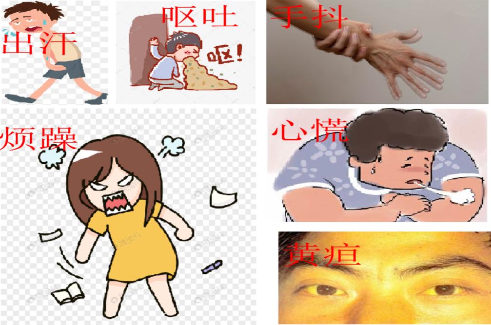 长期喝酒的人怎么护肝和养肝中医,酒多必伤肝注意这3点护住肝脏