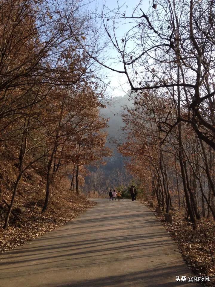 五年级孩子朗诵的散文诗,孩子写的优美散文诗