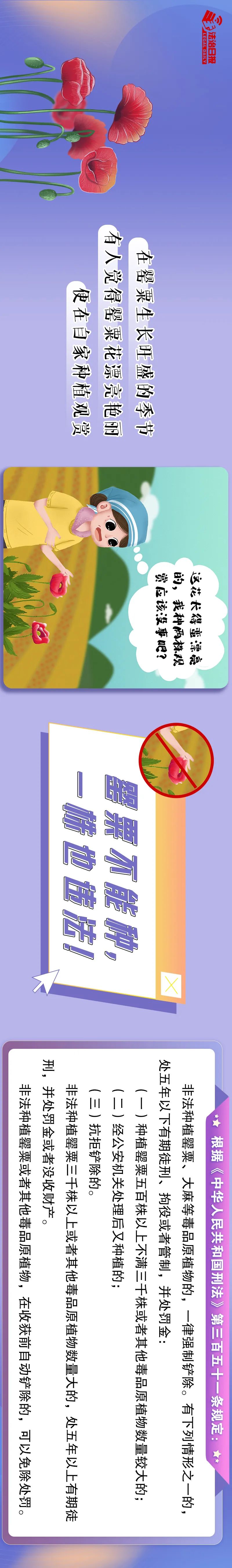 漫画危险遭遇,漫画意外事件