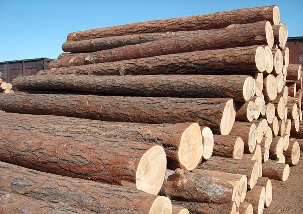 十九世纪前的俄中外交及贸易关系,18世纪世界贸易变化的影响