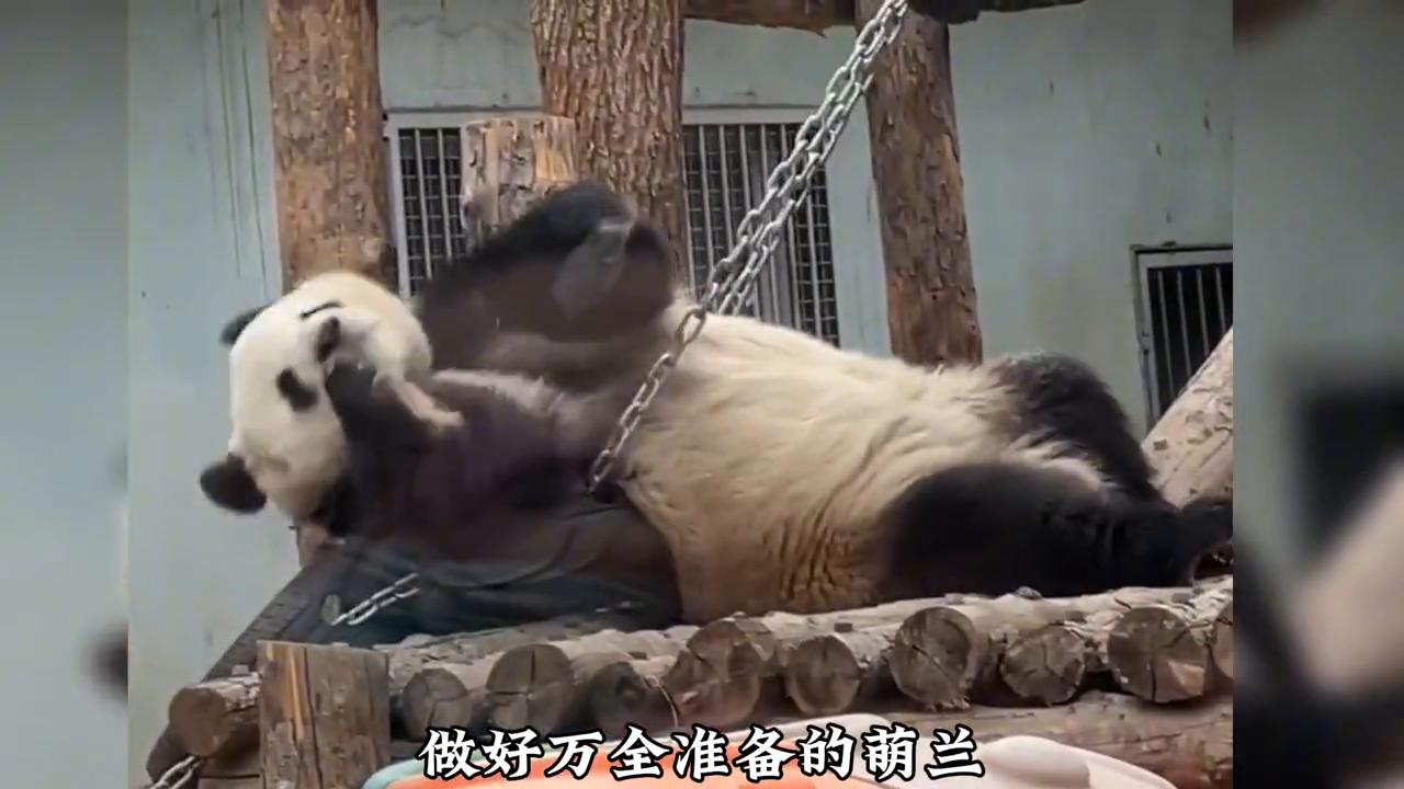 越狱几次才能成功,越狱屡次失败