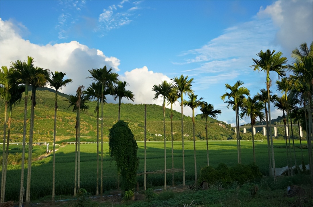 案例剖析！海棠湾薏米如何乡村振兴？品效合一+爆品*局破**