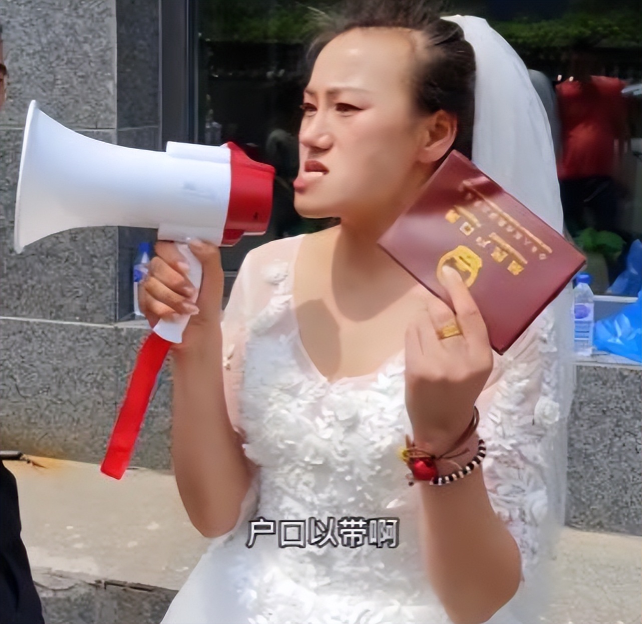 朱元璋和朱大胆的照片,朱大胆儿简介