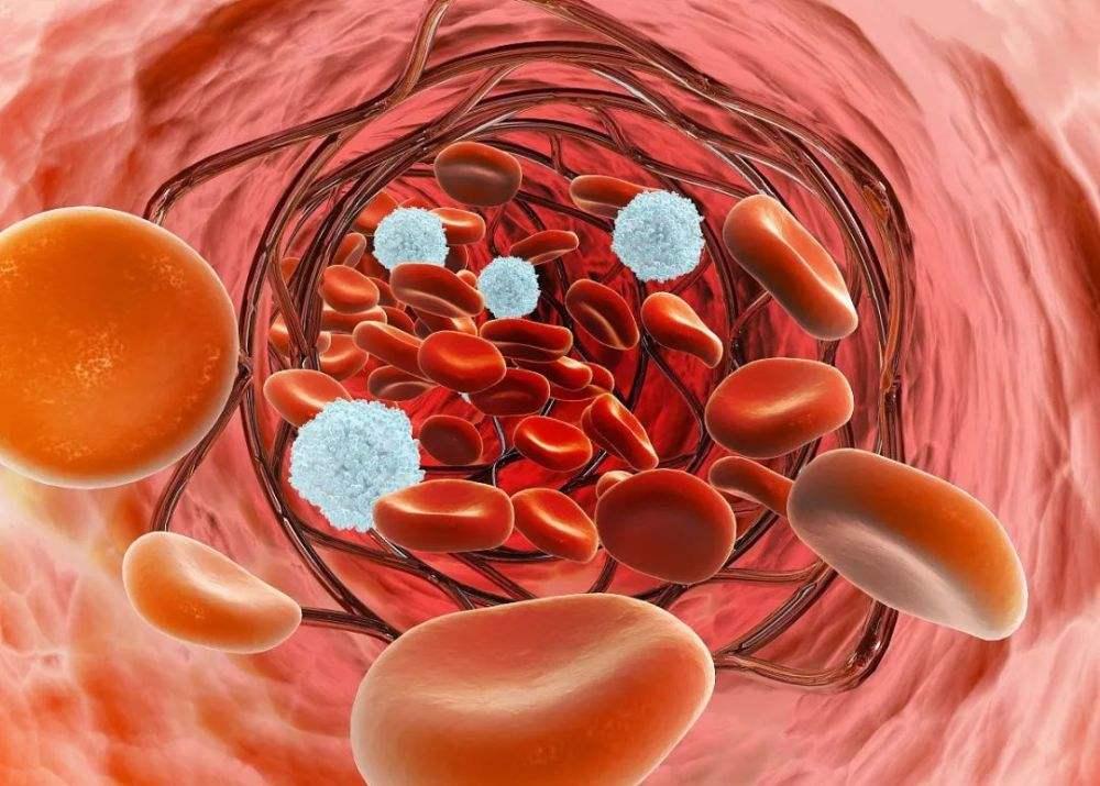 长期服用阿托伐他汀有什么危害,阿托伐他汀长期服用有什么后果