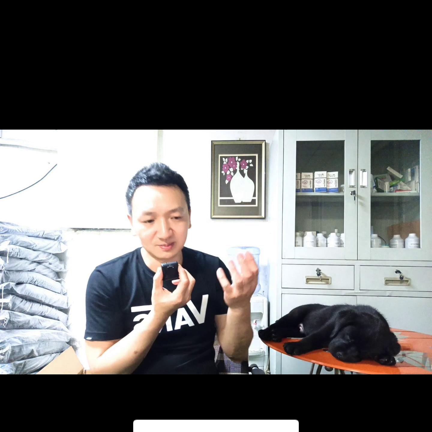 同窝小马犬怎么选,同窝最小的幼犬