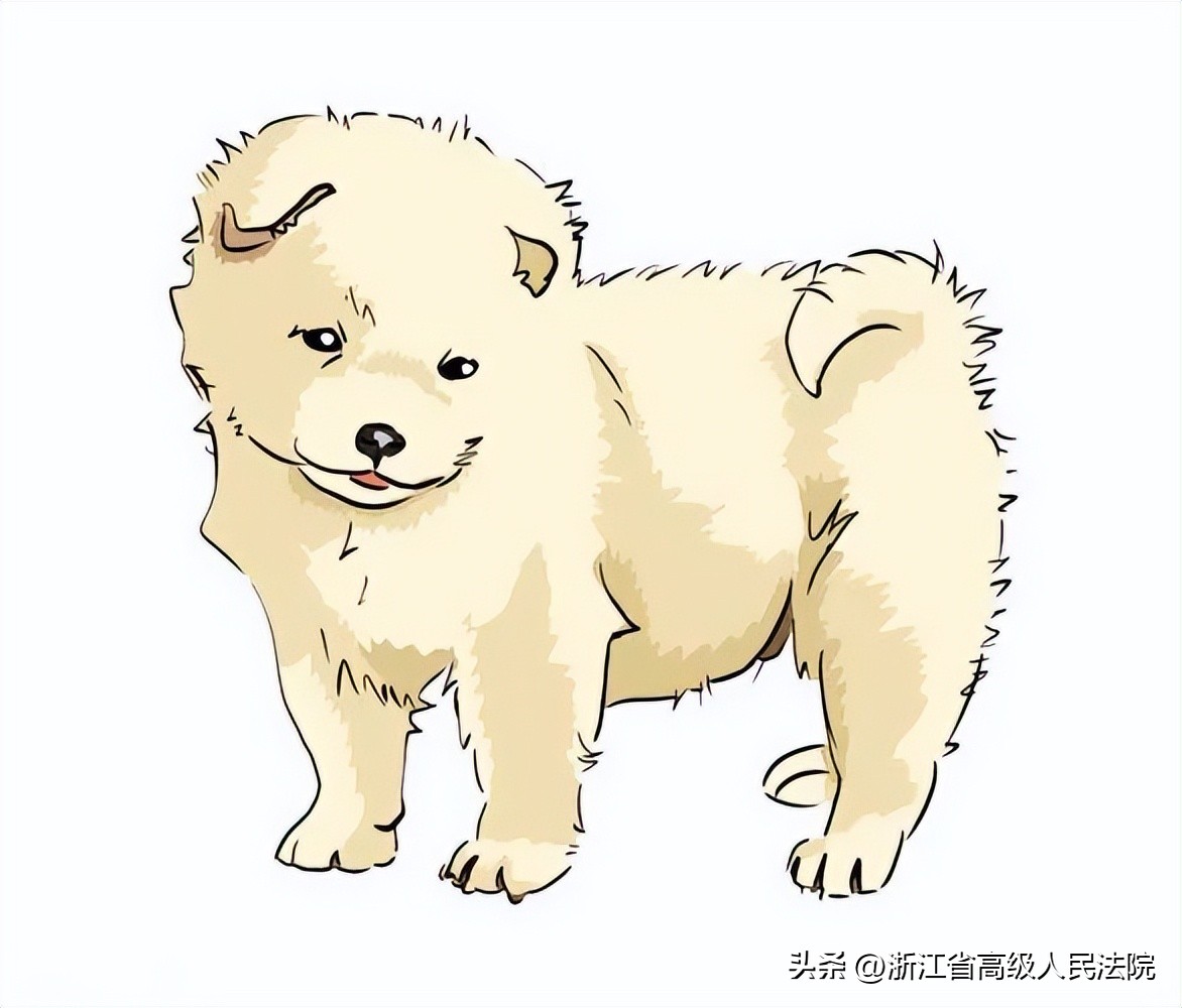 双十一购物避坑指南,双十一避坑指南