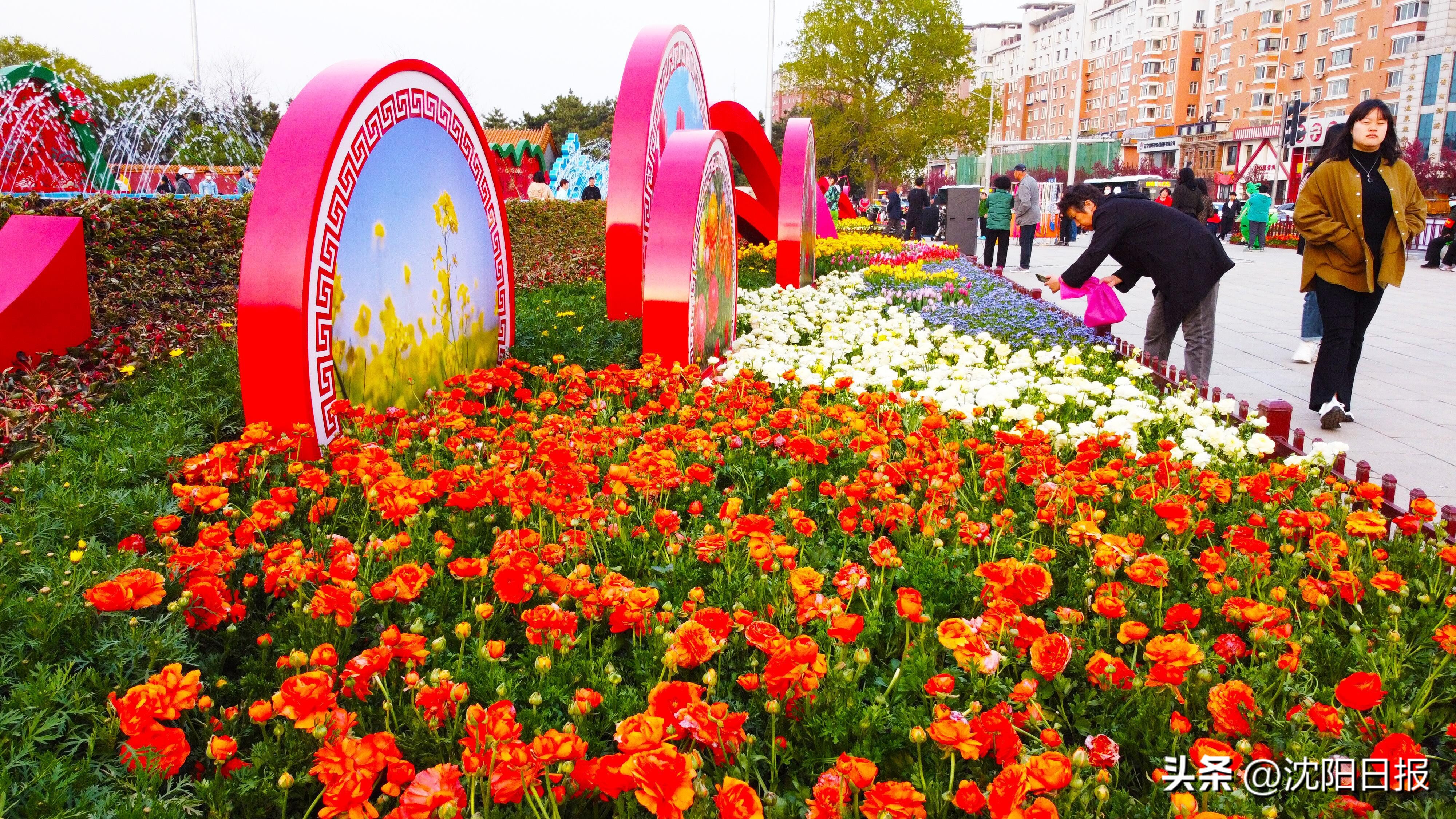 文旅融合盛宴,五一各地文旅争奇斗艳