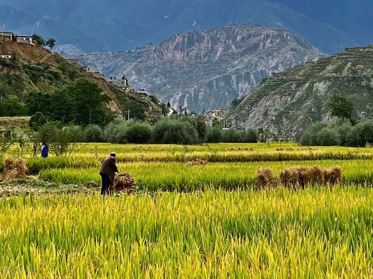 现在是家长太矫情还是孩子太娇气,女人不分年龄娇气且矫情让人烦