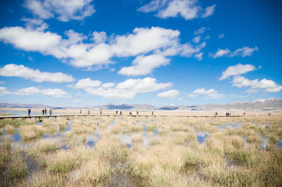都去挤*疆新**？我选这个20°C的西北秘境