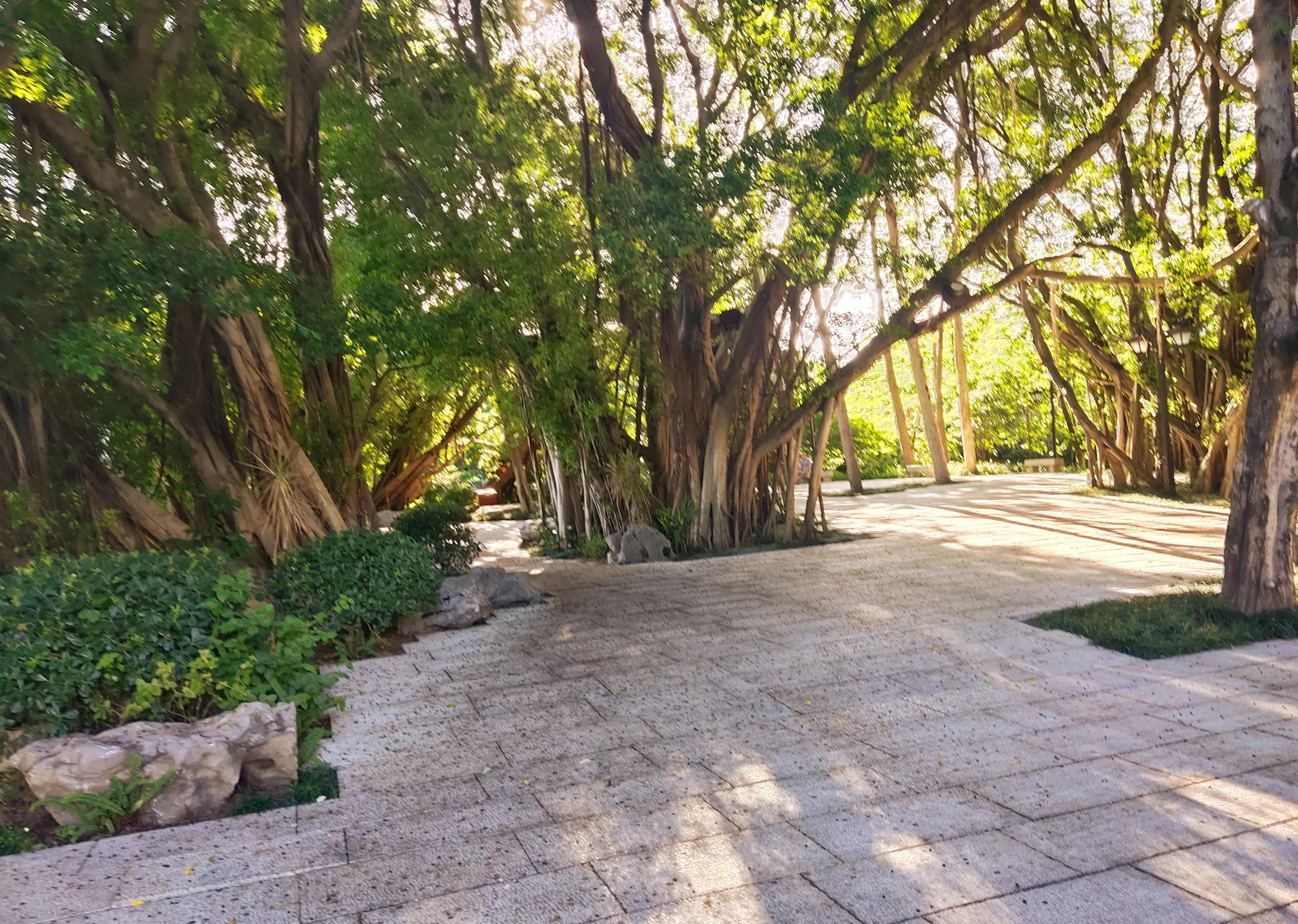 终究是活成了这般模样,终究活成了满身是刺的模样