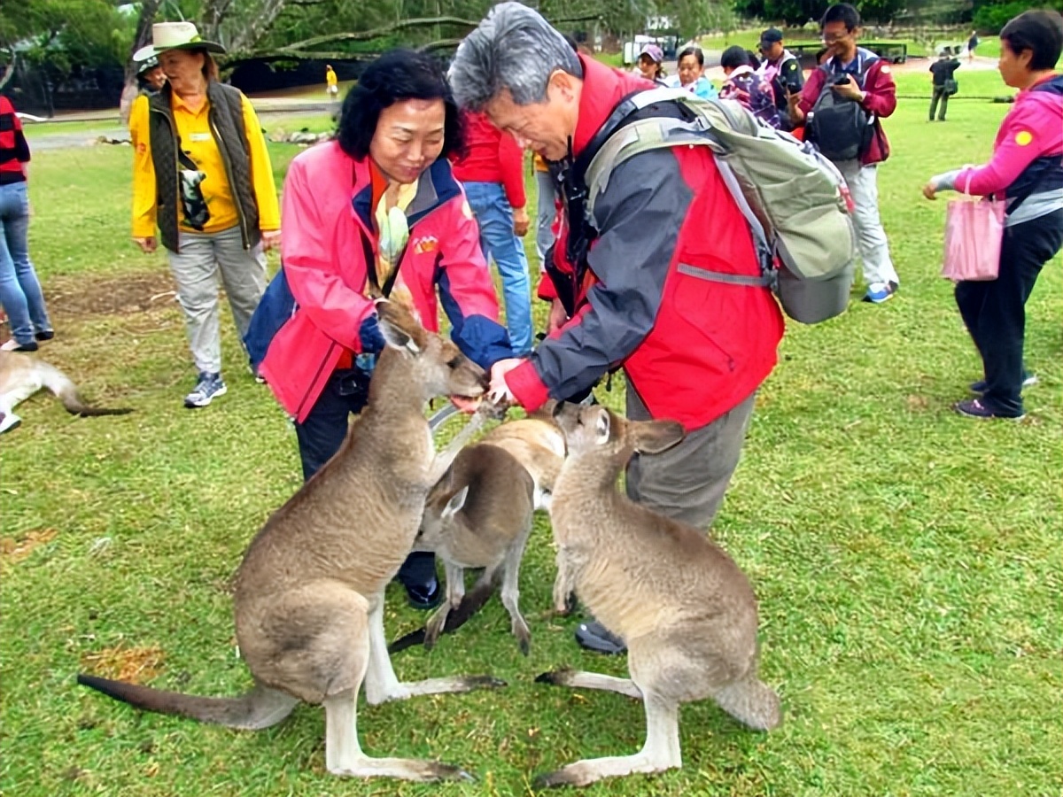 昆士兰洲纯玩自由行攻略,大洋洲除了澳大利亚哪里适合旅游