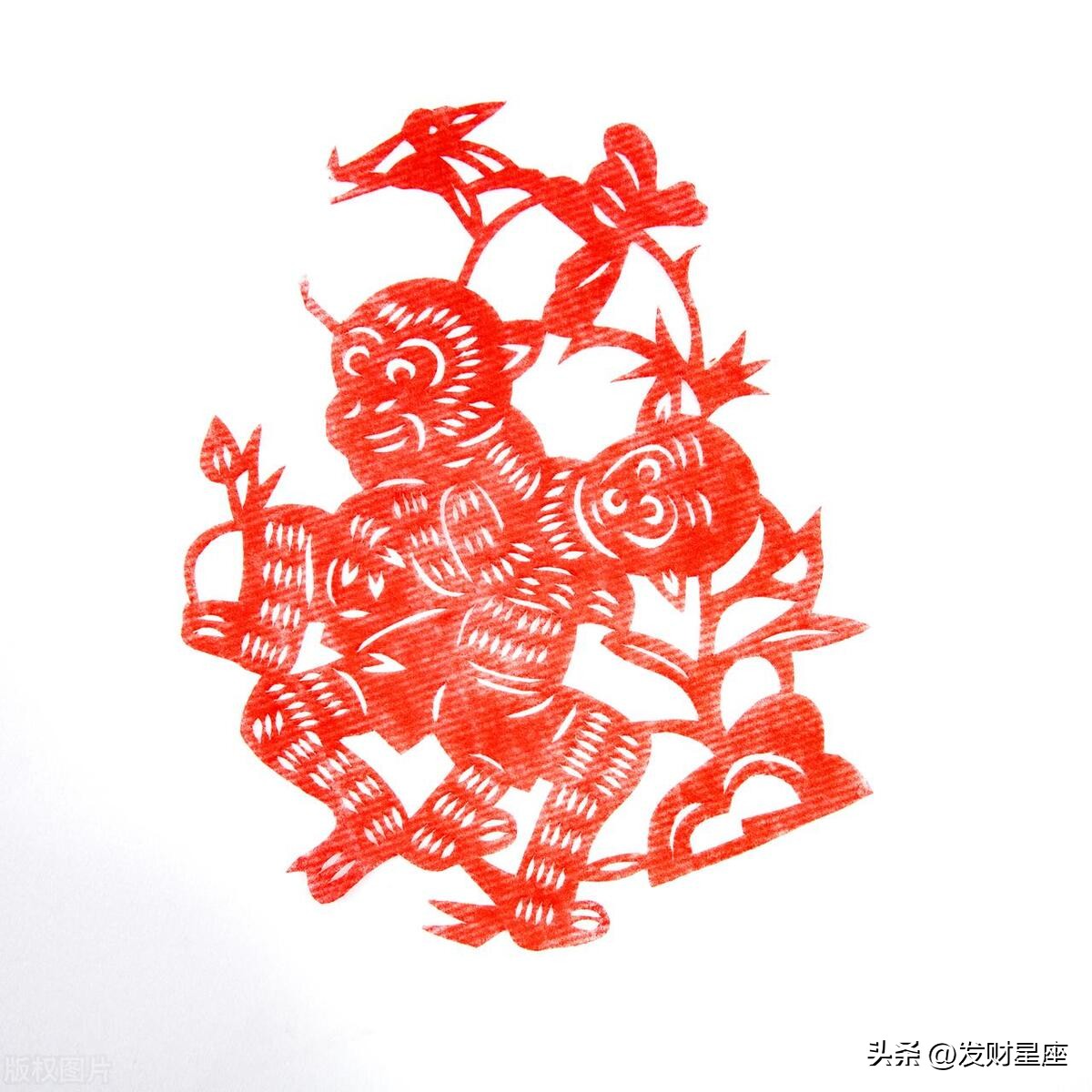 大手大脚代表哪个生肖,花钱阔气财运不错的三大生肖