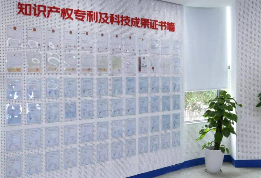 东莞海鸿玩具有限公司,东莞宝恒玩具有限公司