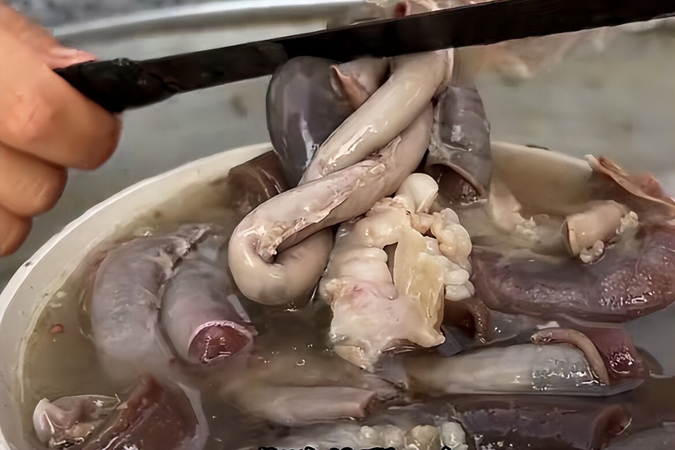 山东大姐卖小吃30年切开个个有料,山东美女摆摊黑暗小吃