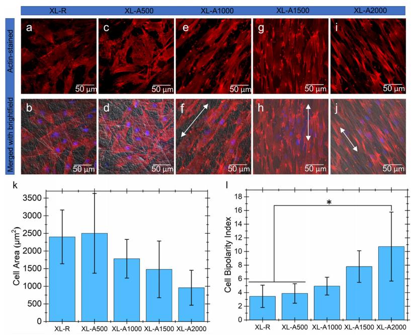 「科研快报」基于静电纺丝的PCL/明胶支架模拟皮肤ECM的抗菌敷料