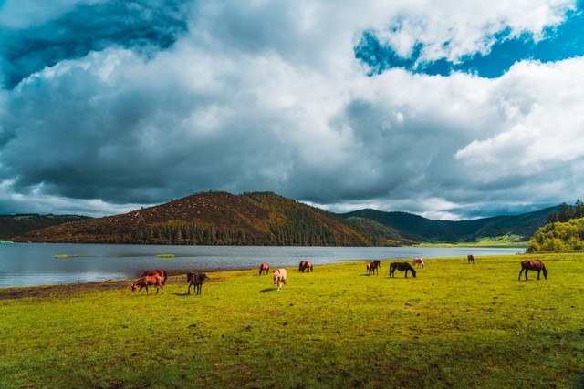 盘点云南最值得去的七大景点,去云南必玩的十大景点排行