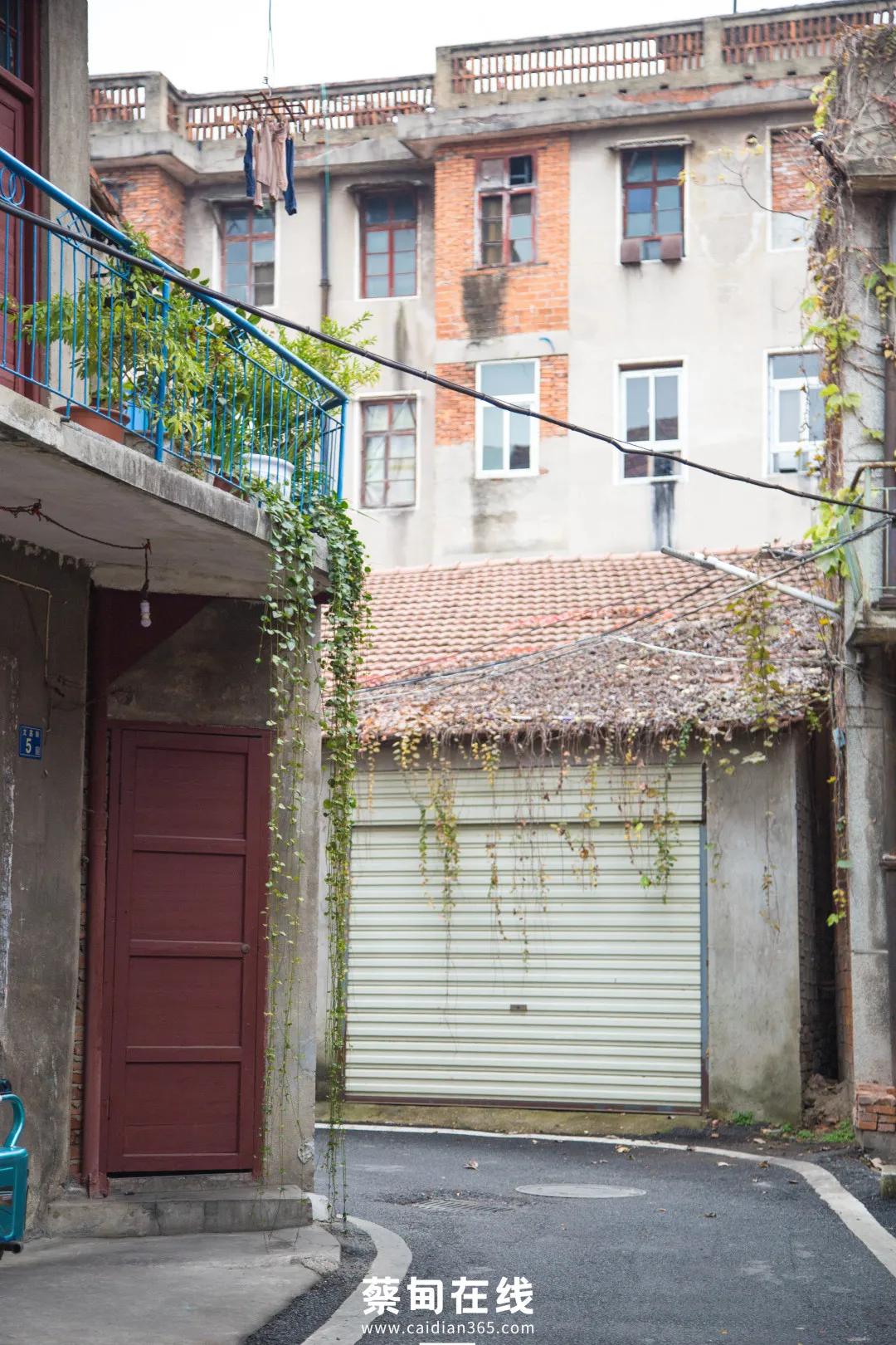 武汉气温回升,武汉气温回暖最新消息