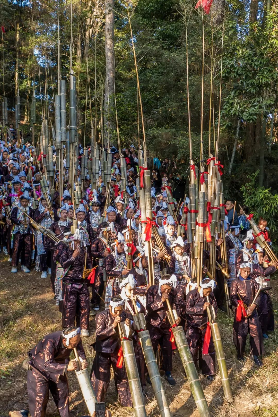 怎样全面了解中国历史,如何全方位读懂中国历史