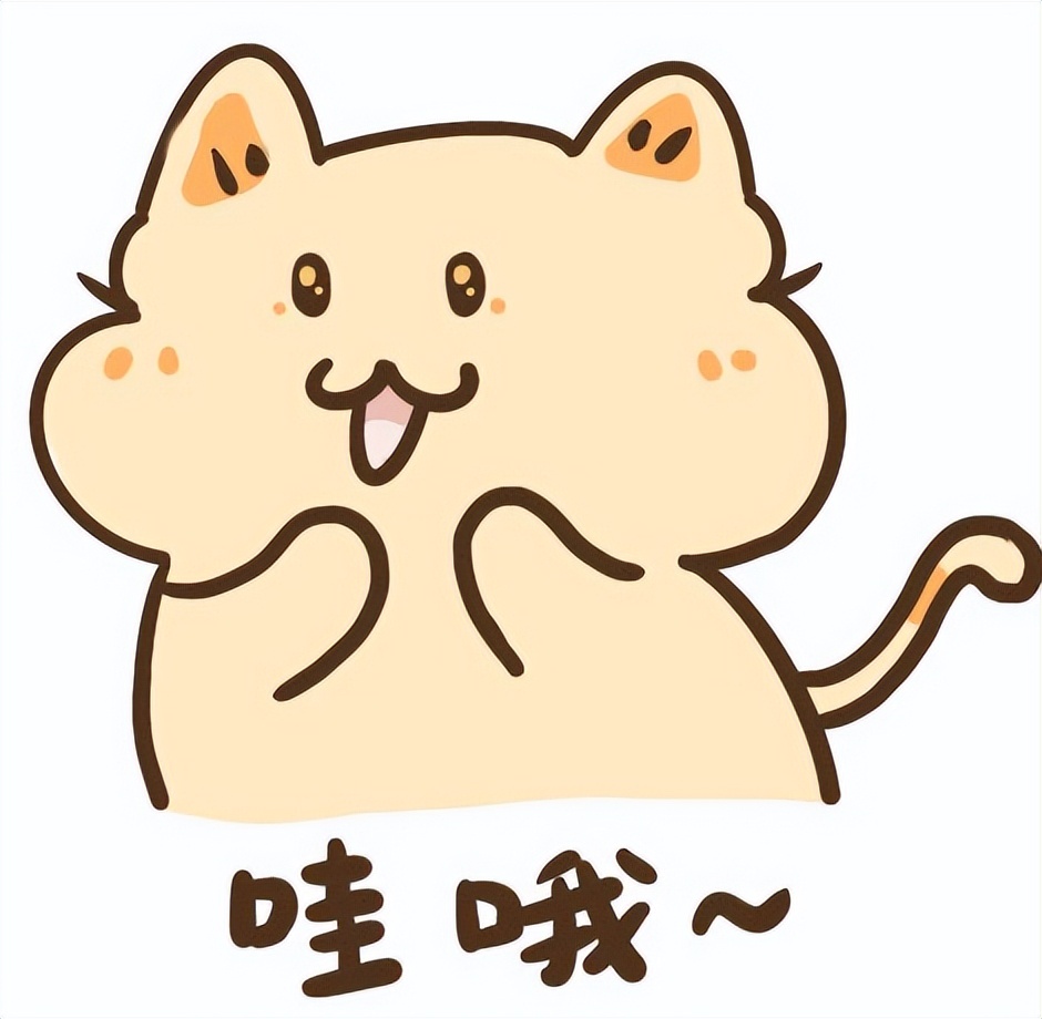 2023年厦门中考体育分值及标准,厦门市2020年中考体育考什么项目