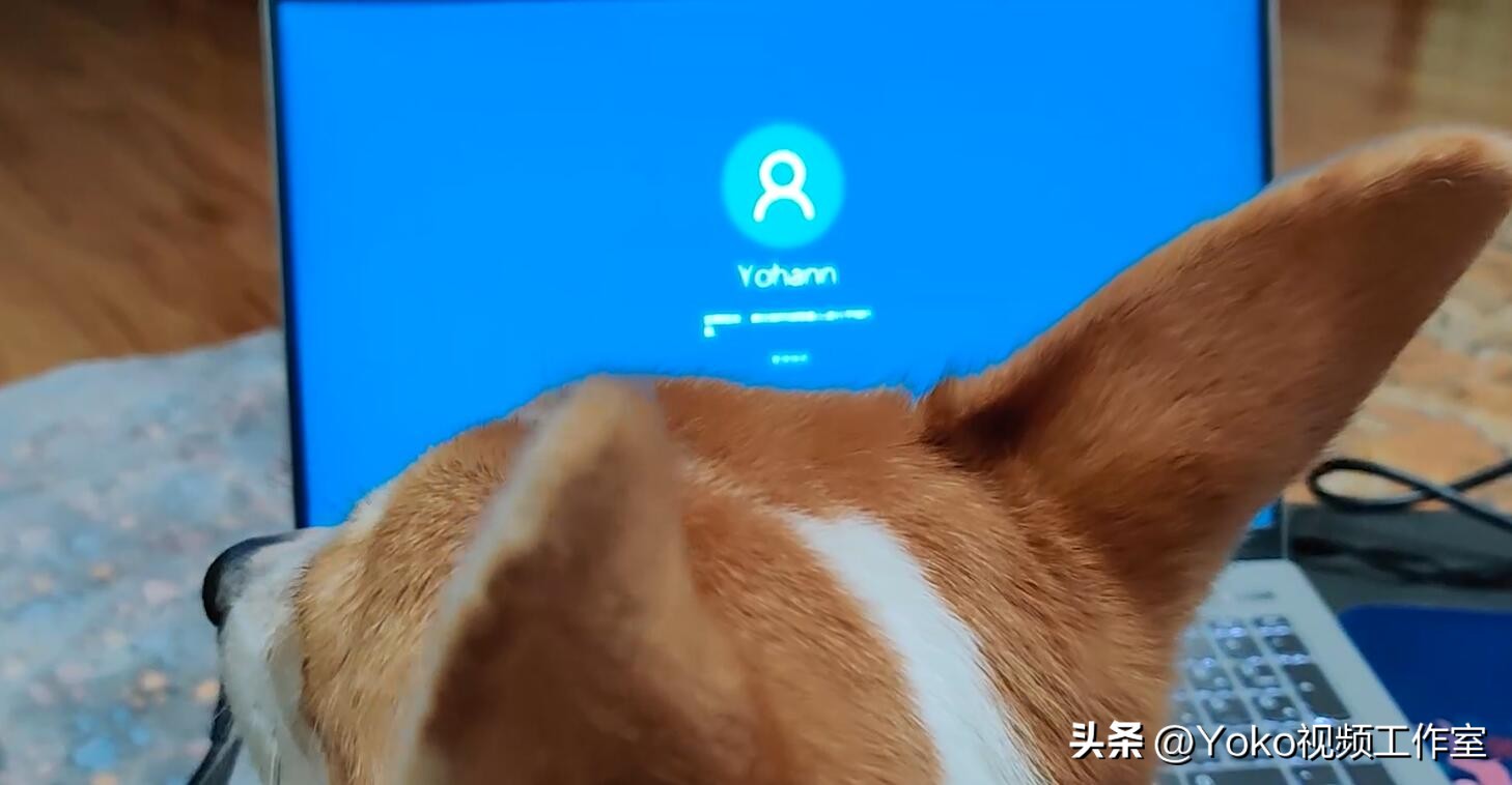 想买电脑父母不让怎么办,实体店买电脑有多坑