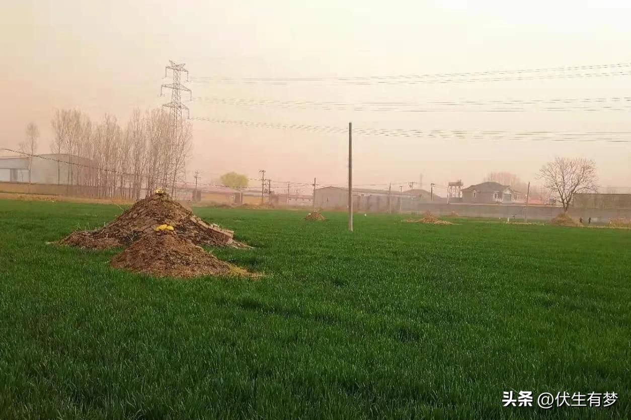 挖机挖土埋坟好吗,人被土埋了可以用挖掘机吗