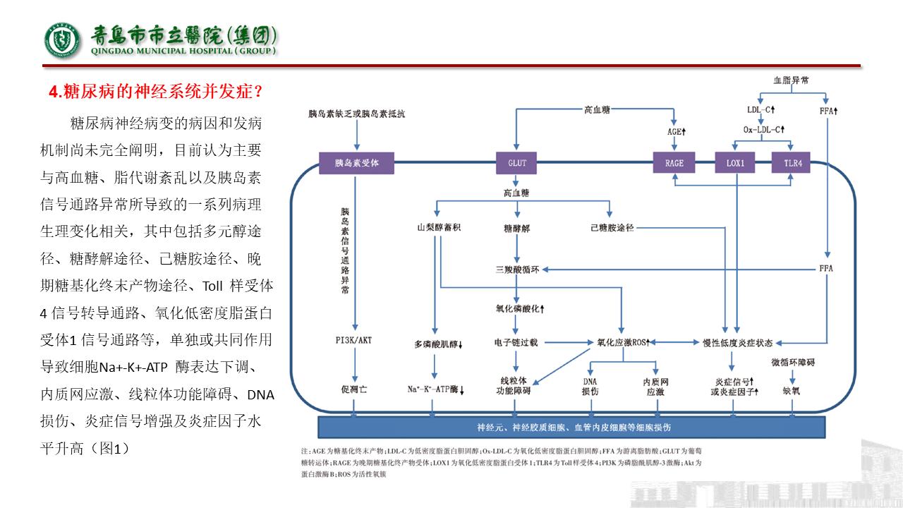 神经内科疾病临床诊疗思维,神经内科理论知识总结