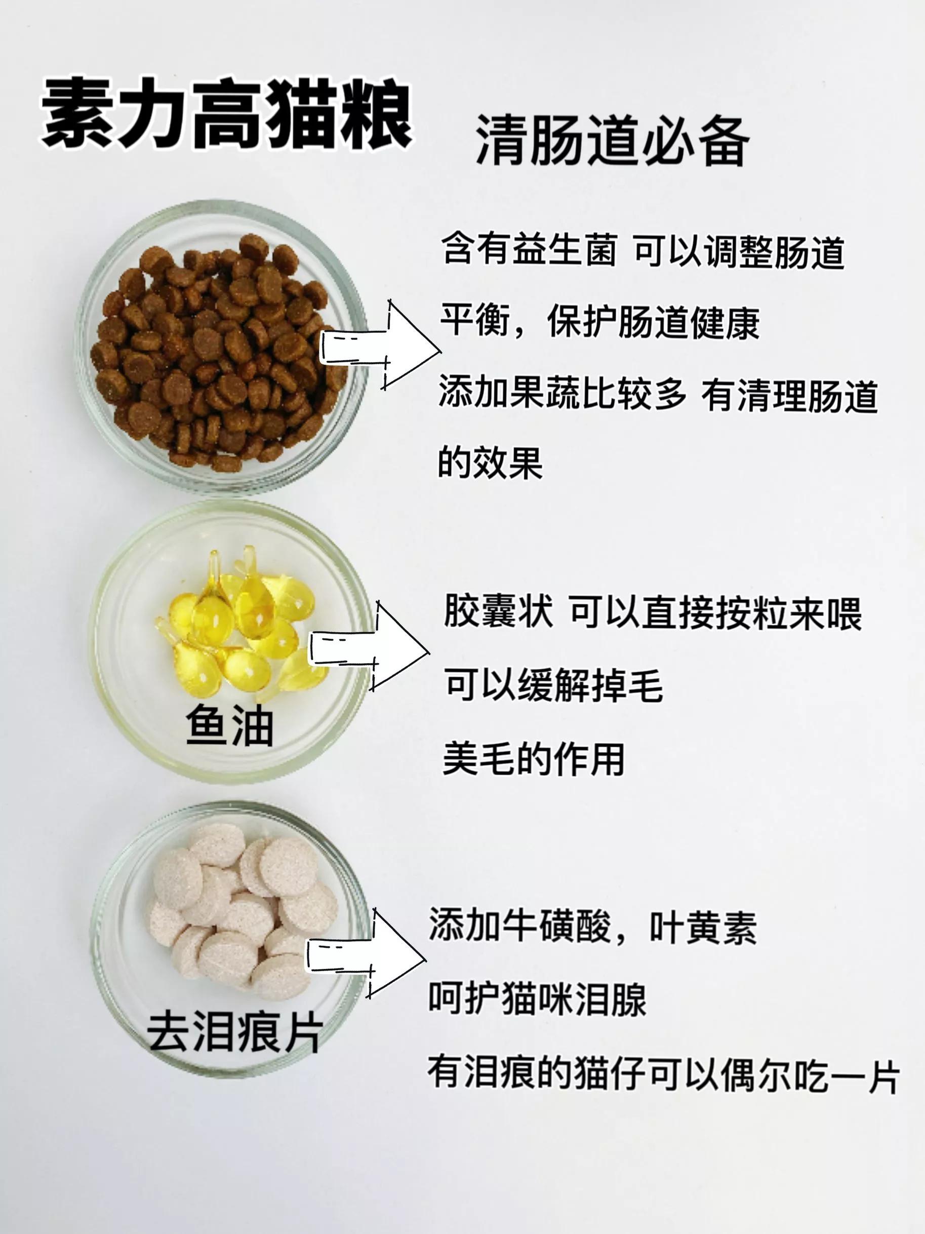 自用猫粮分享新手选粮不踩雷,猫粮囤货现场