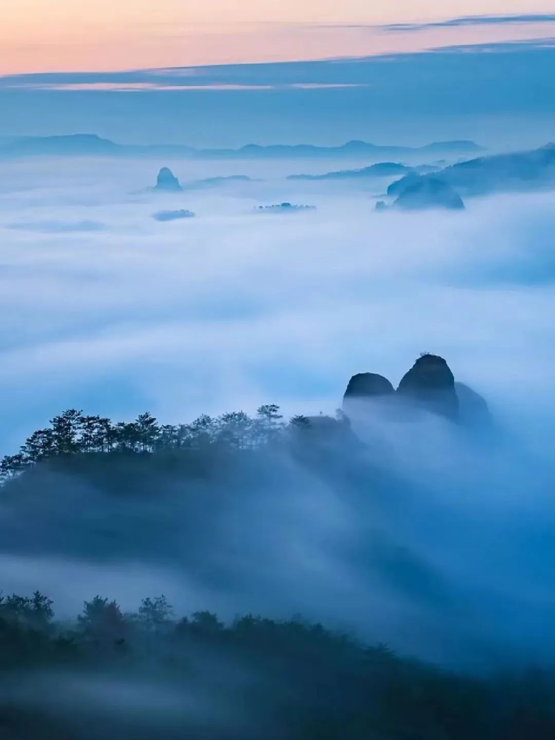 如何了解武夷山茶,探寻武夷