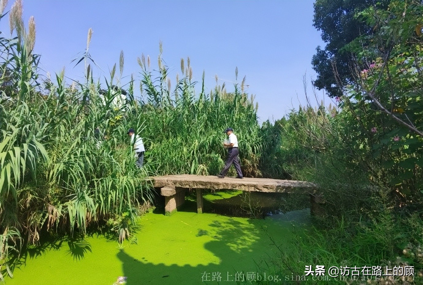 常州古桥镇,常州单孔古桥