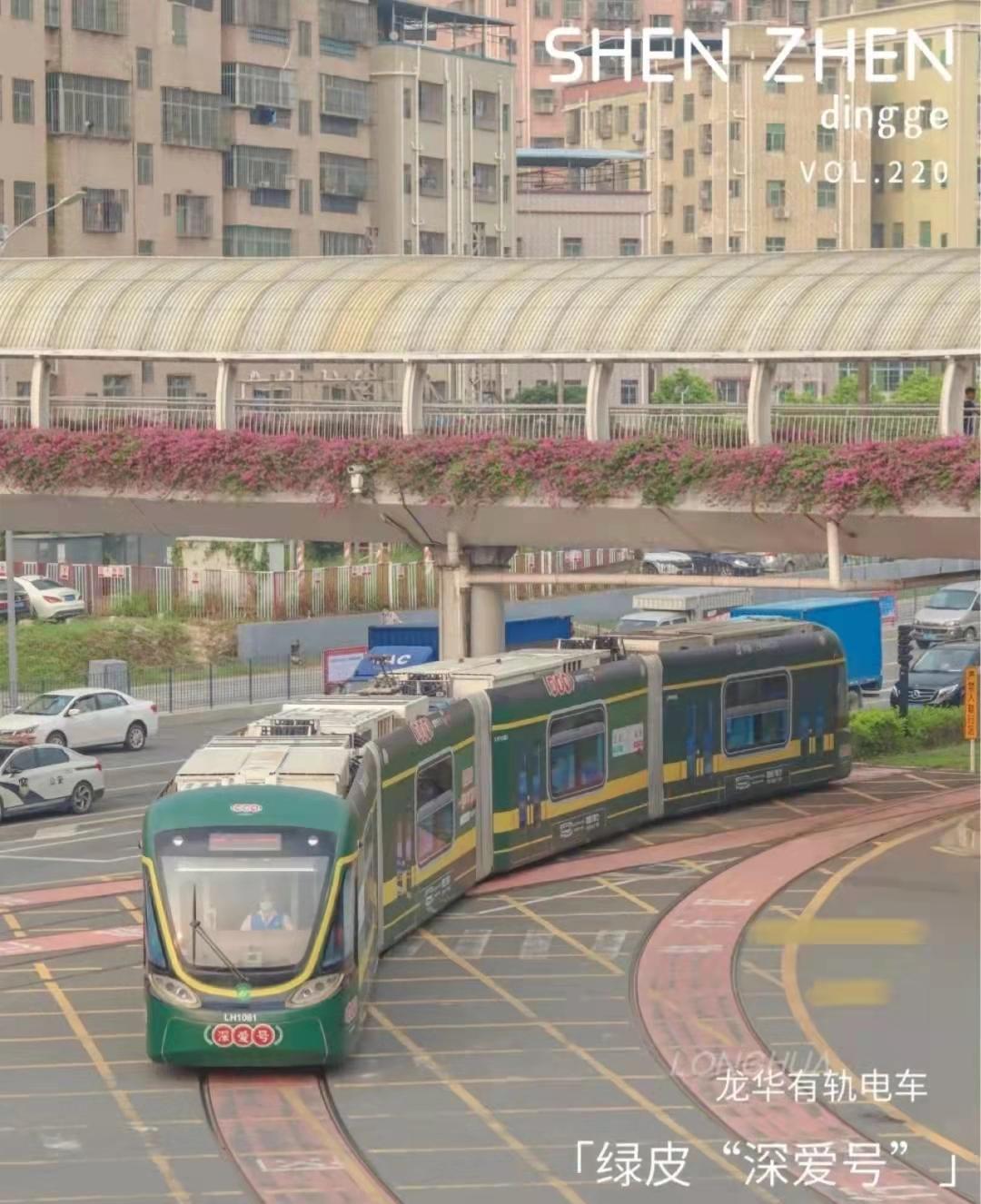 我为什么选择深圳,我为什么建议你来北上广深奋斗