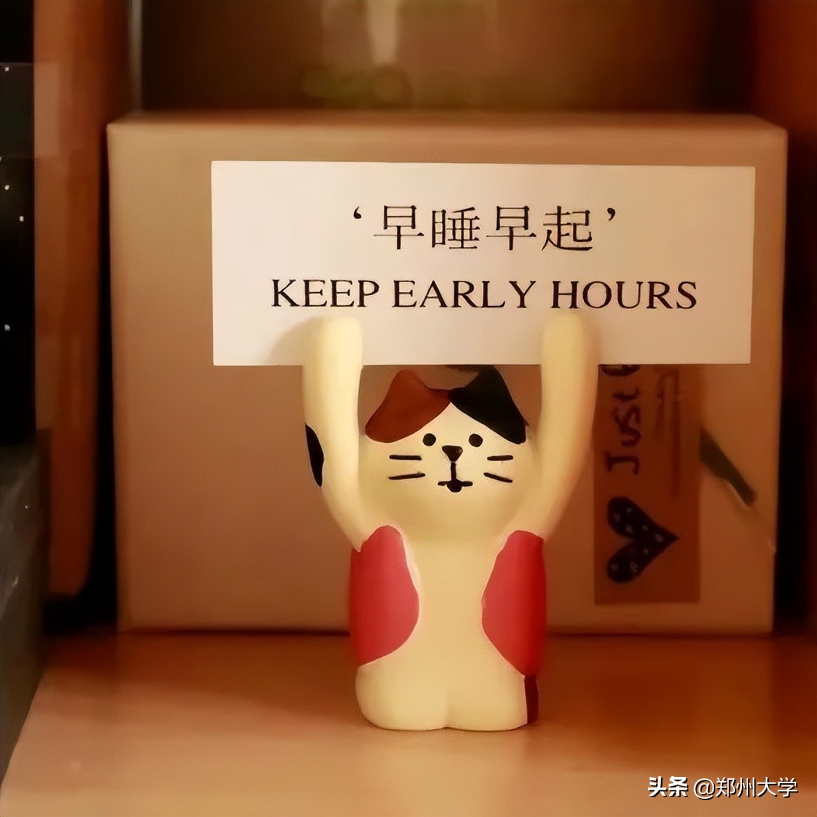 选择大学看哪些因素,选择郑州大学的理由