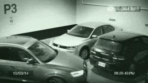 神回复：老鼠贴粘到的，吃了不会犯法吧？网友：自首，争取死缓