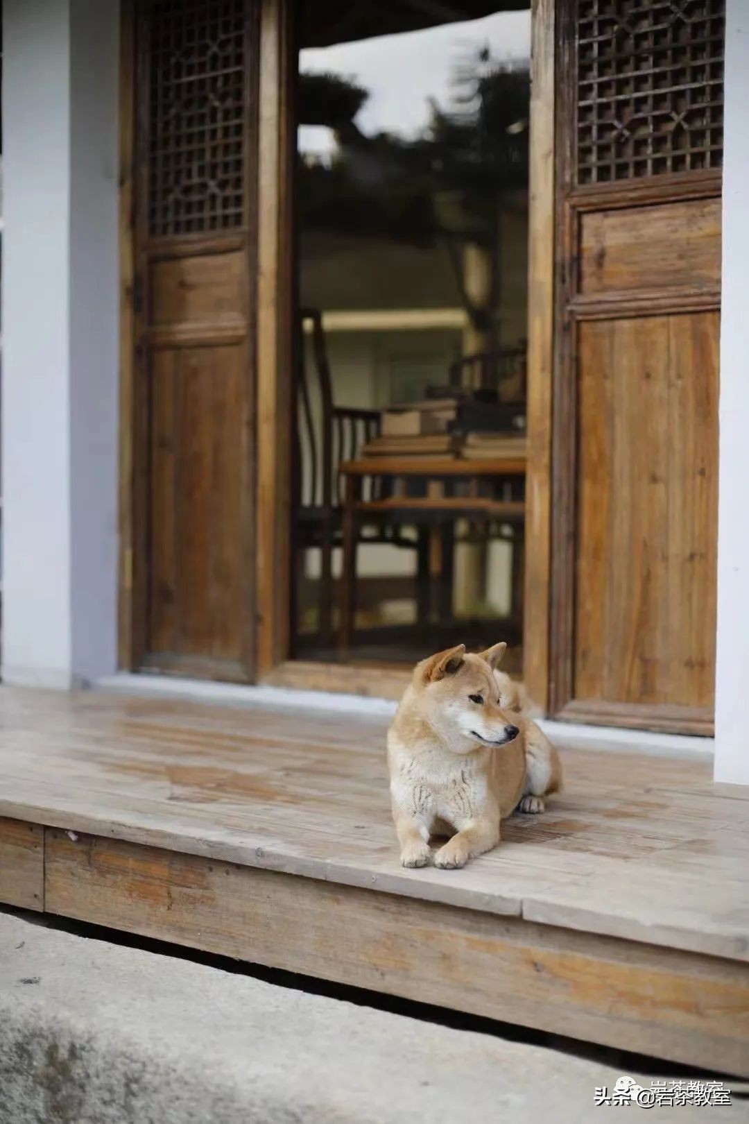 赏瓷观窑公道杯器型 (赏瓷观窑十二花神杯)