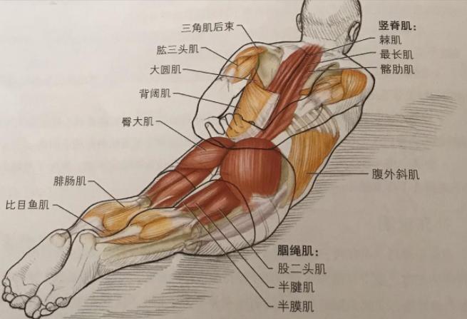 刘亦菲在路人镜头下虎背熊腰八字腿好丑，网友惊呼：女神胖了