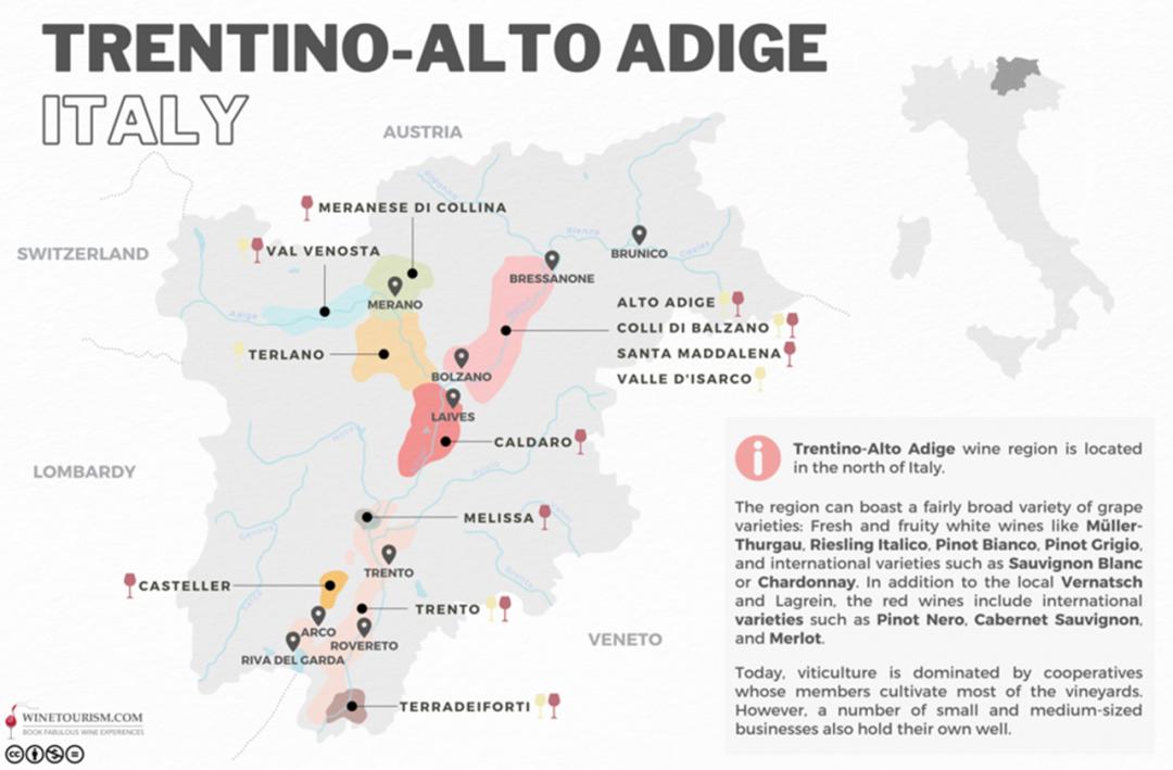 小众之美|AltoAdigeDOC上阿迪杰