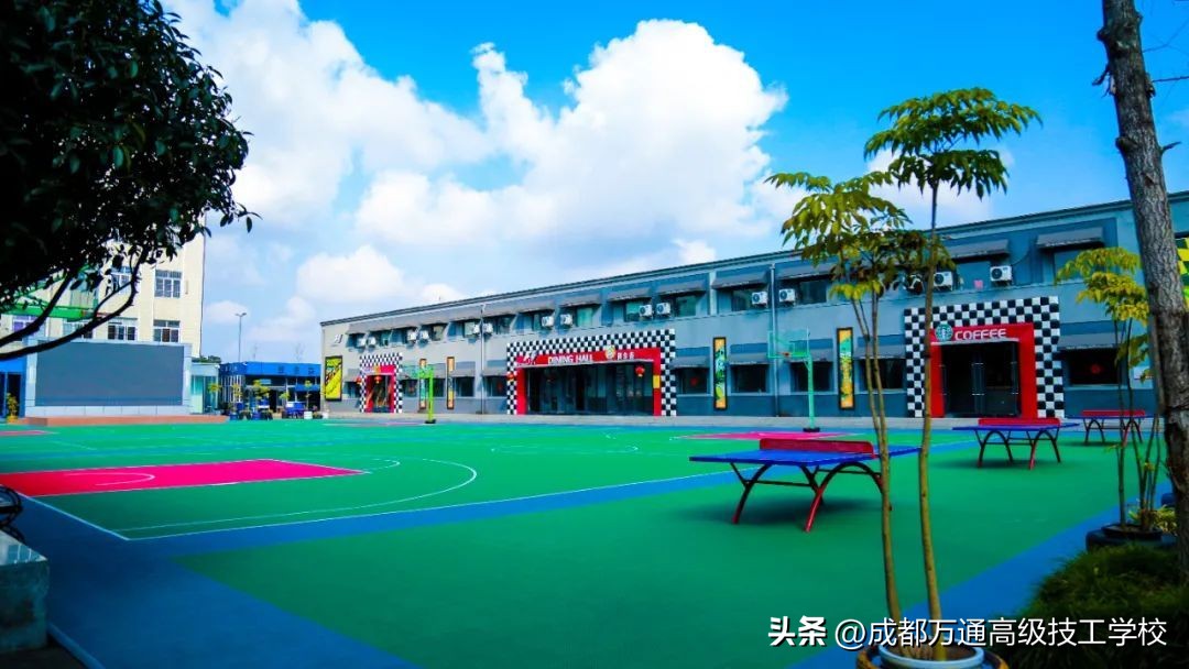 初中毕业考不上高中还有哪些出路,初中生毕业考不上高中该如何选择