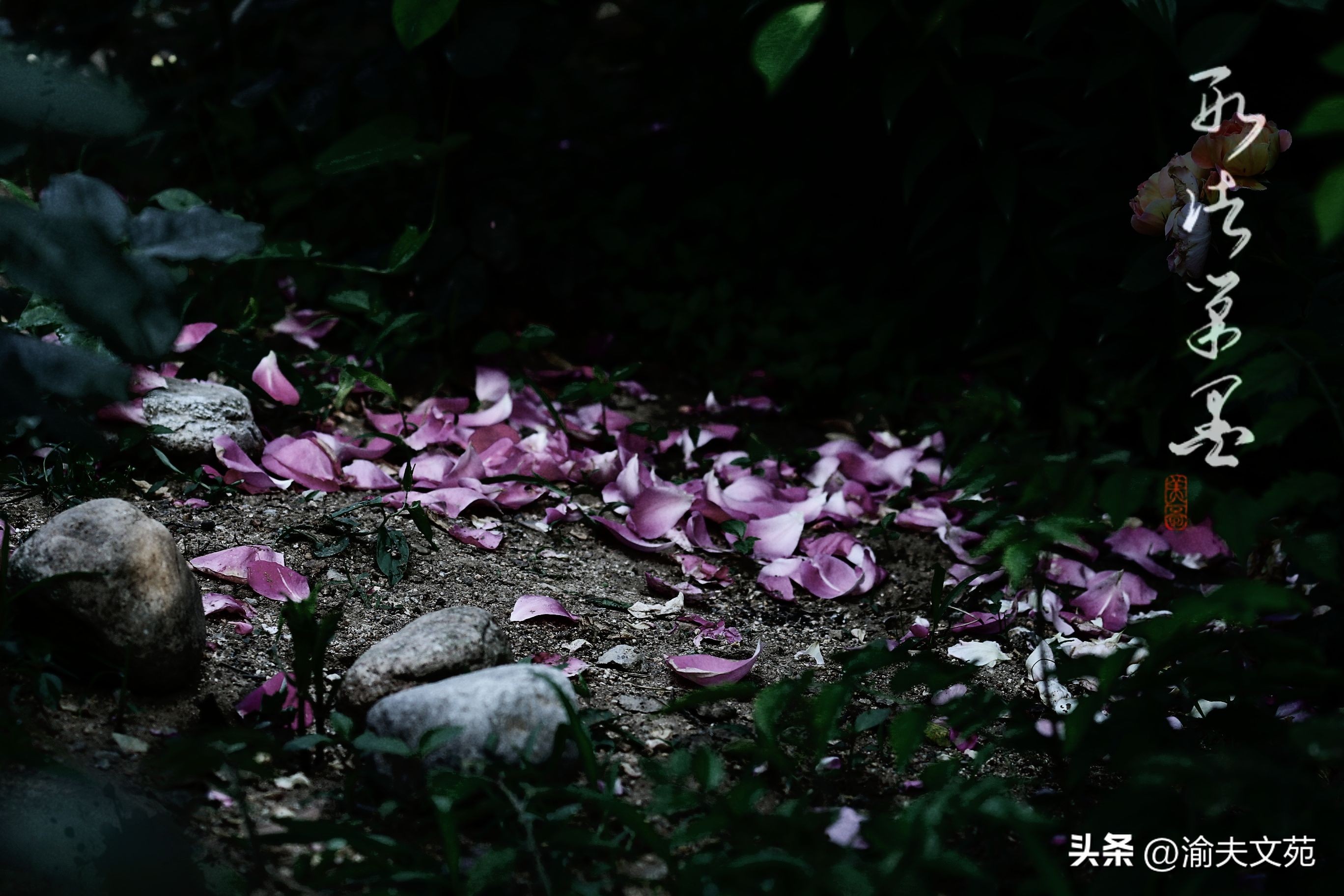 【剑新诗集】三尺情怀08:莘莘学子