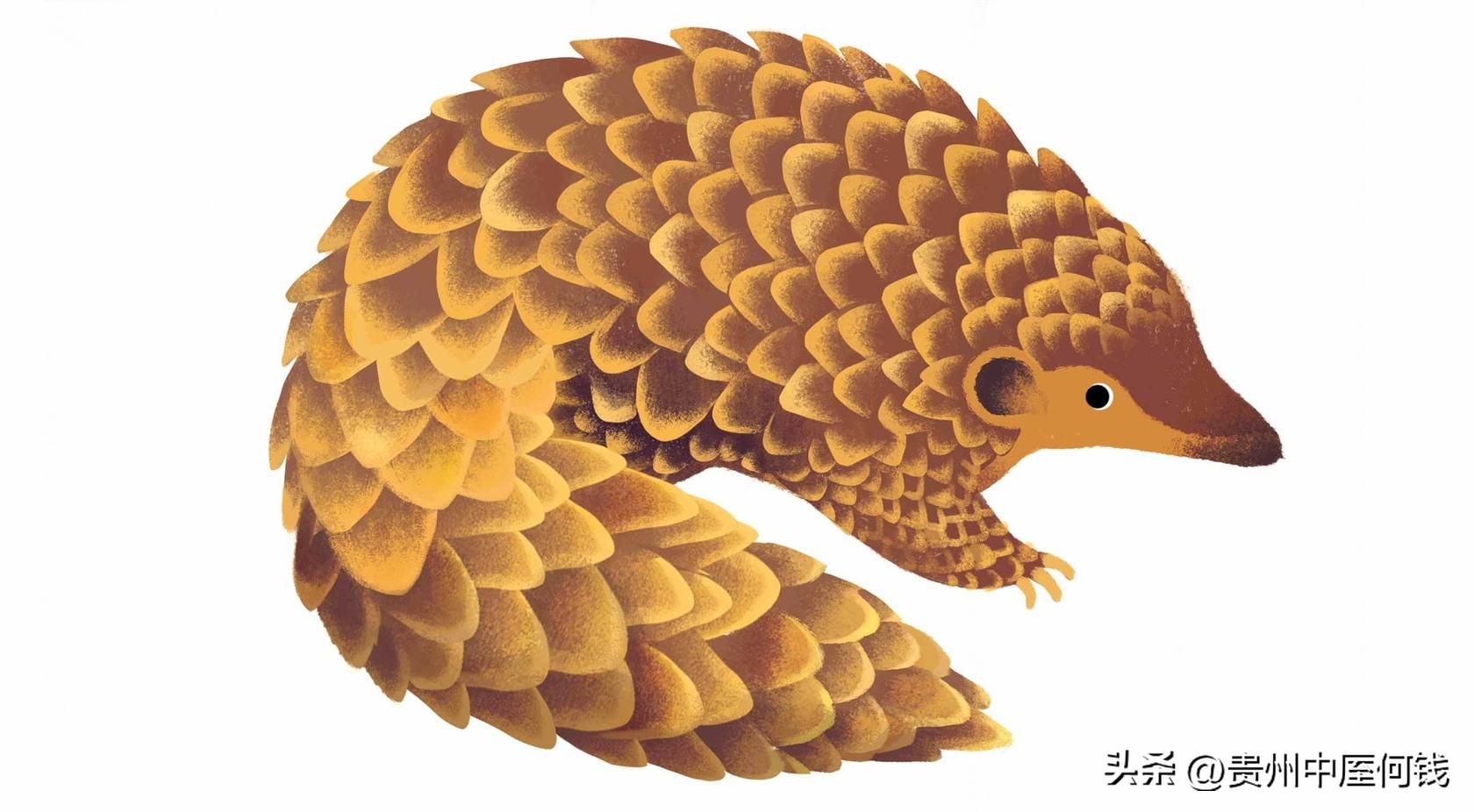 继发性不孕治疗困难吗,继发性不孕的最常见的原因