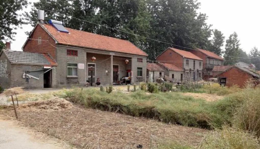 回村记录真实生活,回村生活的真实感受