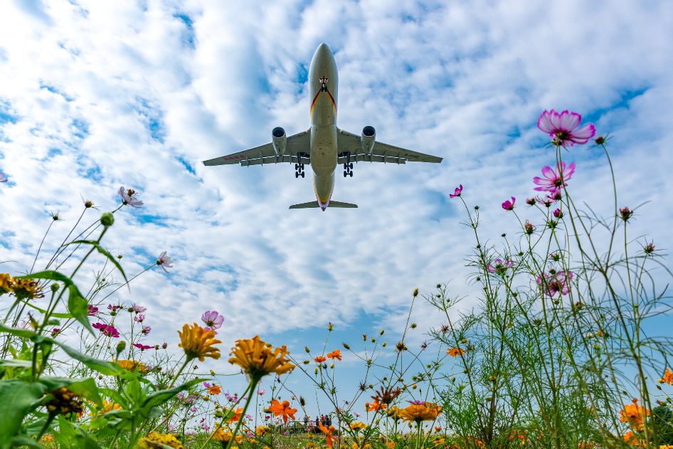 争创天府旅游名县全域旅游示范区,创建天府旅游名县的对策及建议