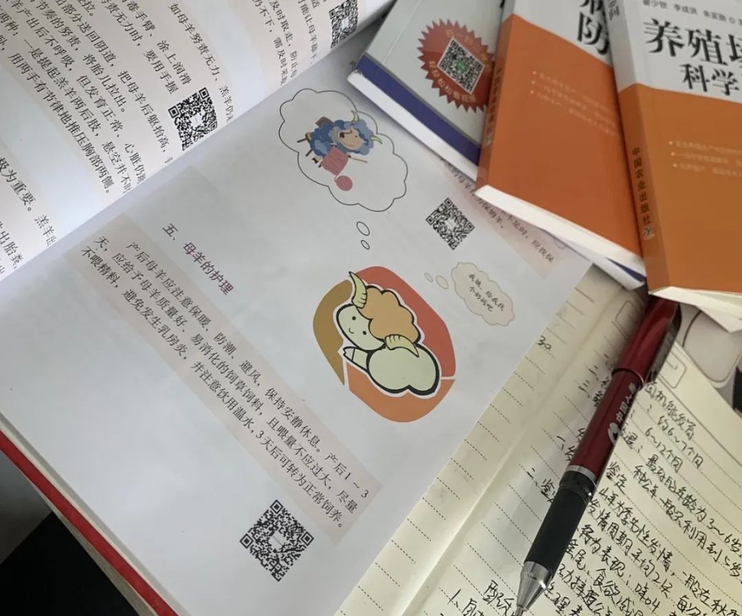 95后女大学生辞职返乡种地,95后女生返乡创业养鹅