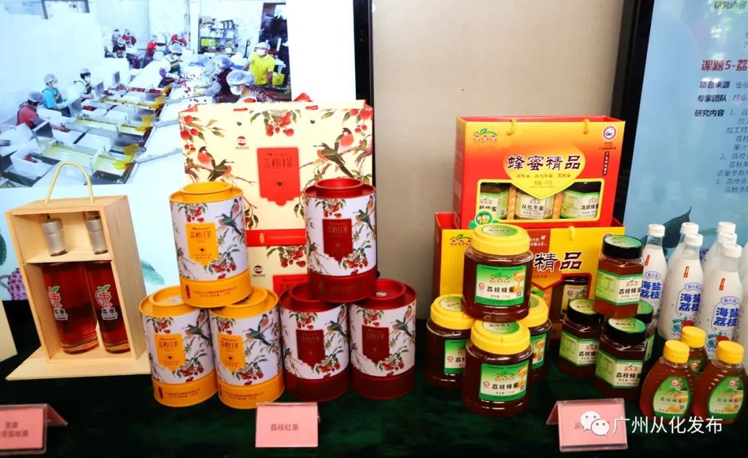 广州从化荔枝节,从化荔枝节什么时候开始举行