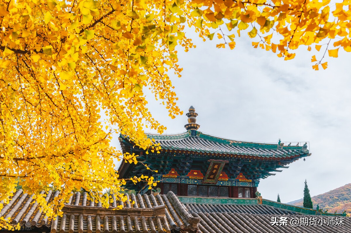 期货高手干货,期货交易短线选品种技巧