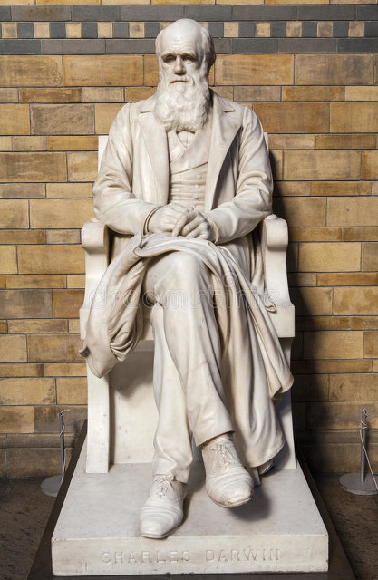 达尔文提出进化论的故事,达尔文的进化论学说证实了什么